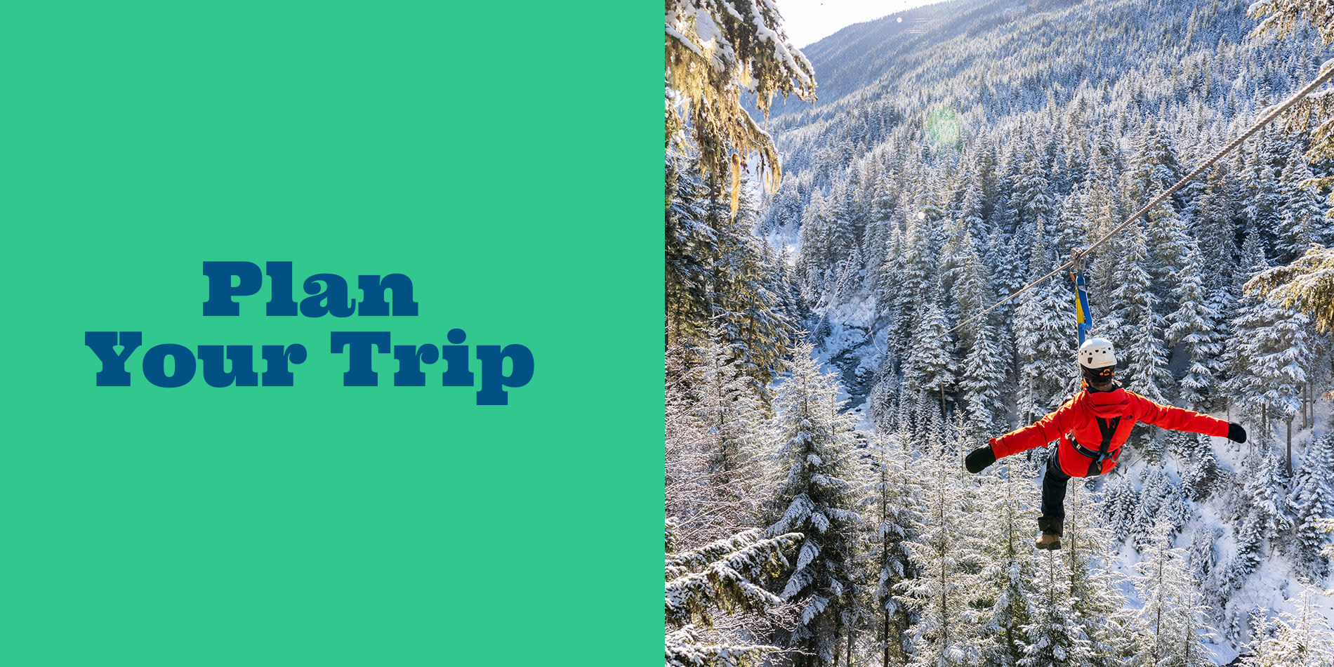 Winter zipline adventure over snowy forest in Whistler mountains, rider soaring above evergreen trees