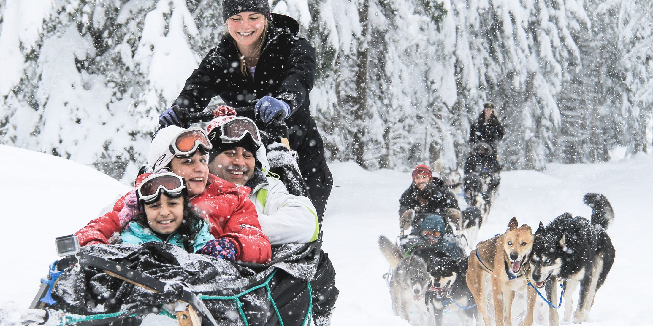 Families enjoying a snowy dog sled ride through Whistler’s winter forest.