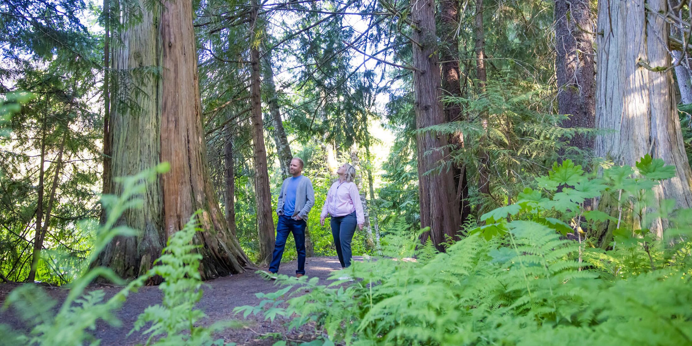 A couple looking at their mobile phone for wayfinding on a free, self-guided tour in Whistler in summer