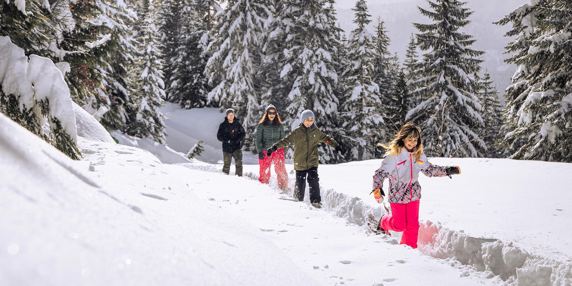 Whistler Snowshoeing Package Tourism Whistler
