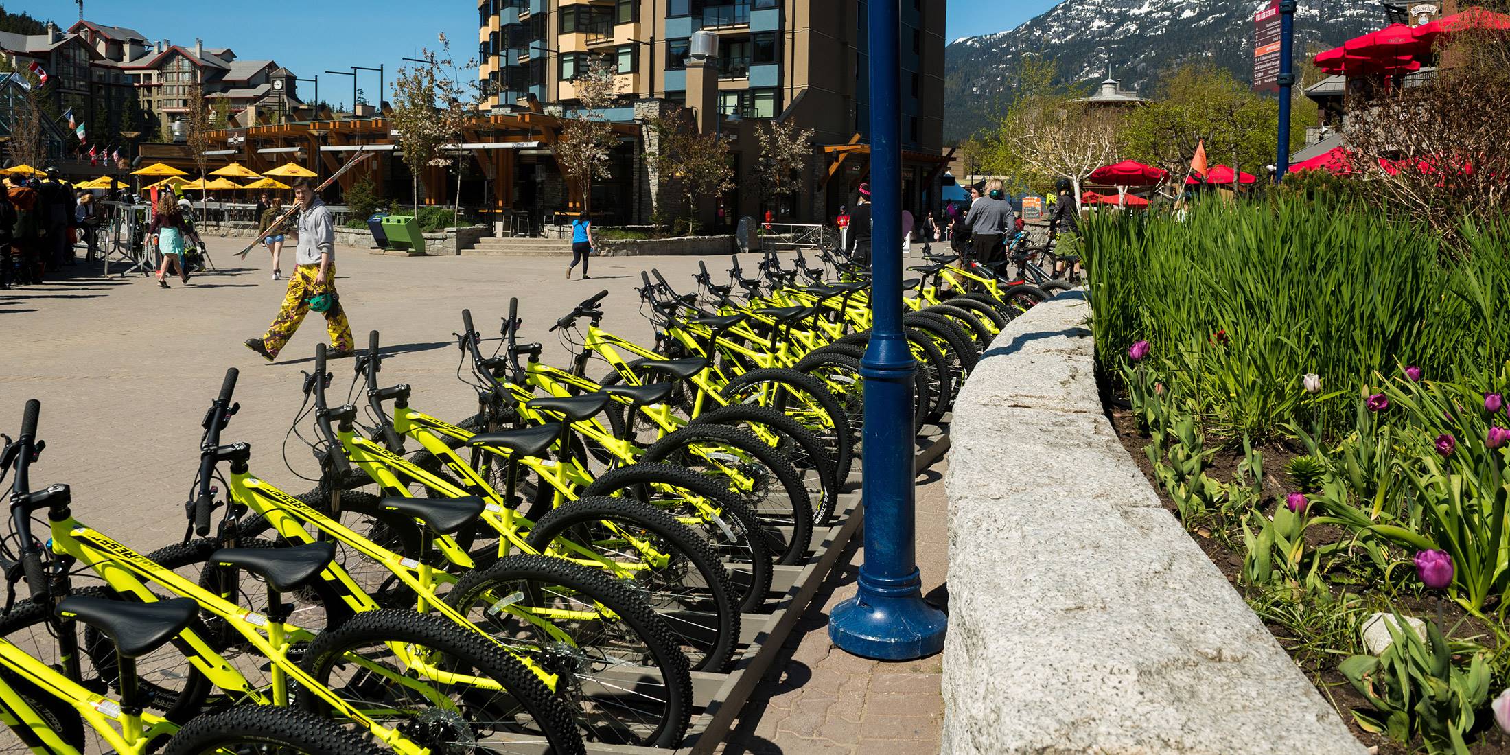 Whistler Mountain Bike Rentals