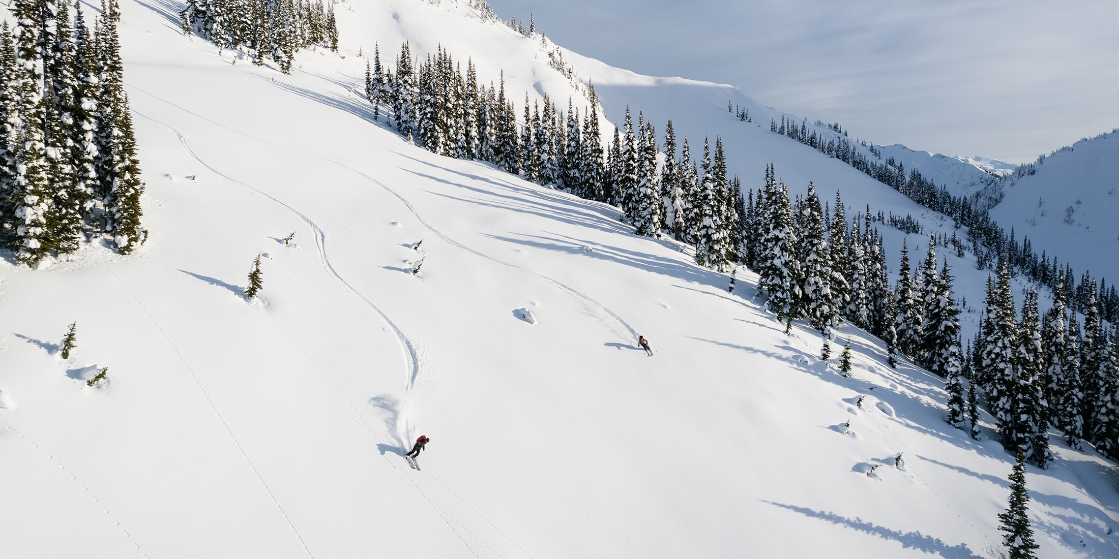Skiers carve fresh powder turns through alpine trees on a sunny Whistler mountain slope.