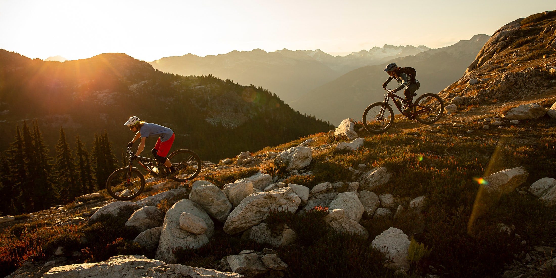 Mountain biking in the Whistler alpine