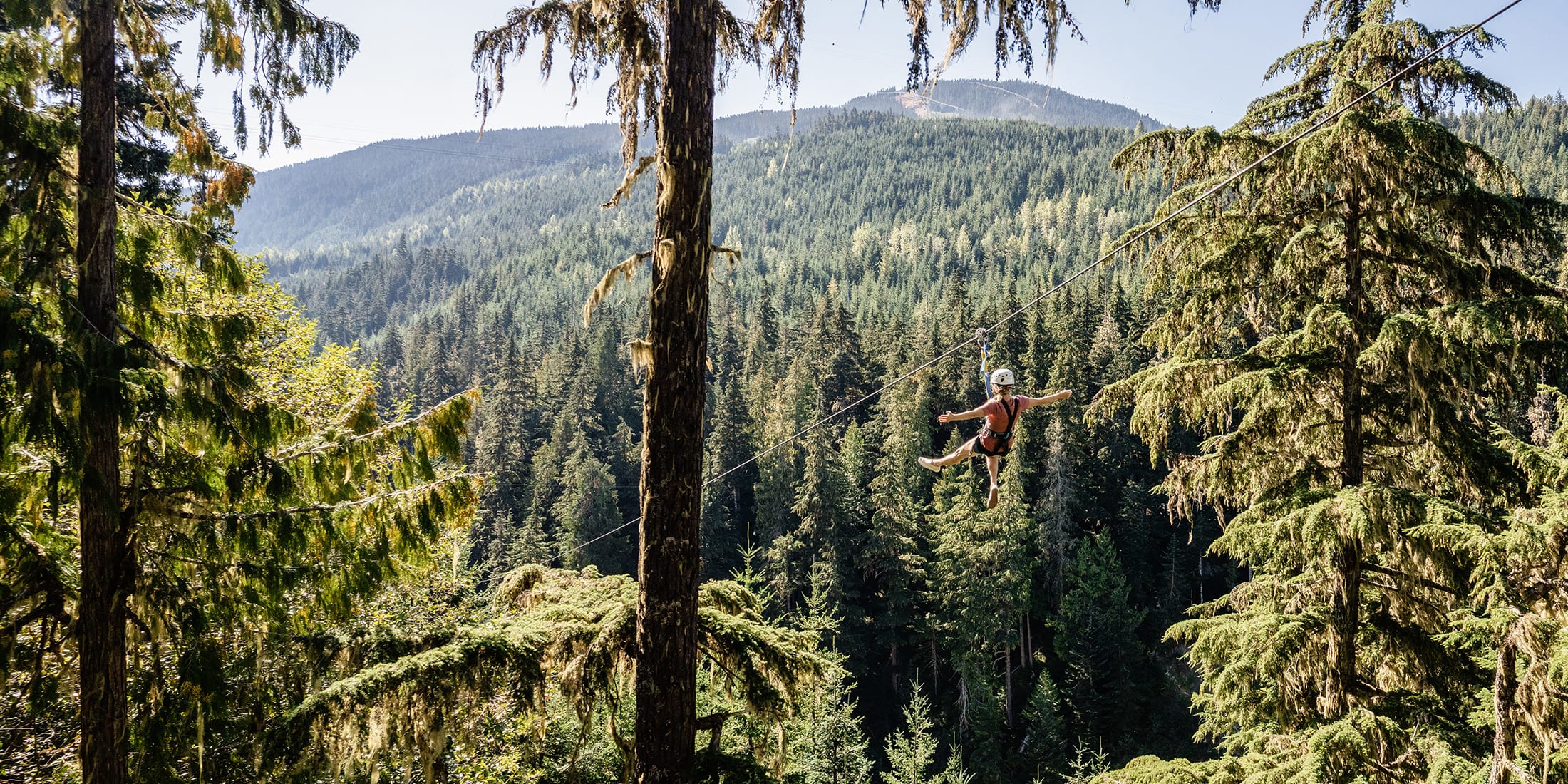 A person ziplines through a dense forest canopy in Whistler, gliding between towering trees with mountain scenery in the background.