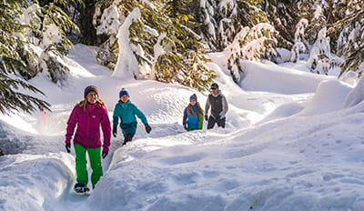 Whistler Snowshoeing
