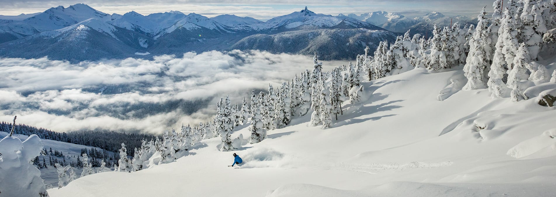 Best Buy: Whistler TRX-2 Digital Scanner Radio Mobile/Desktop Black TRX-2