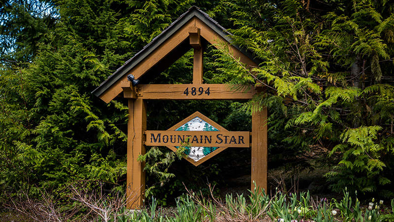 Mountain Star Photo 3