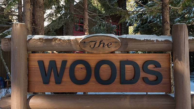 The Woods Photo 4