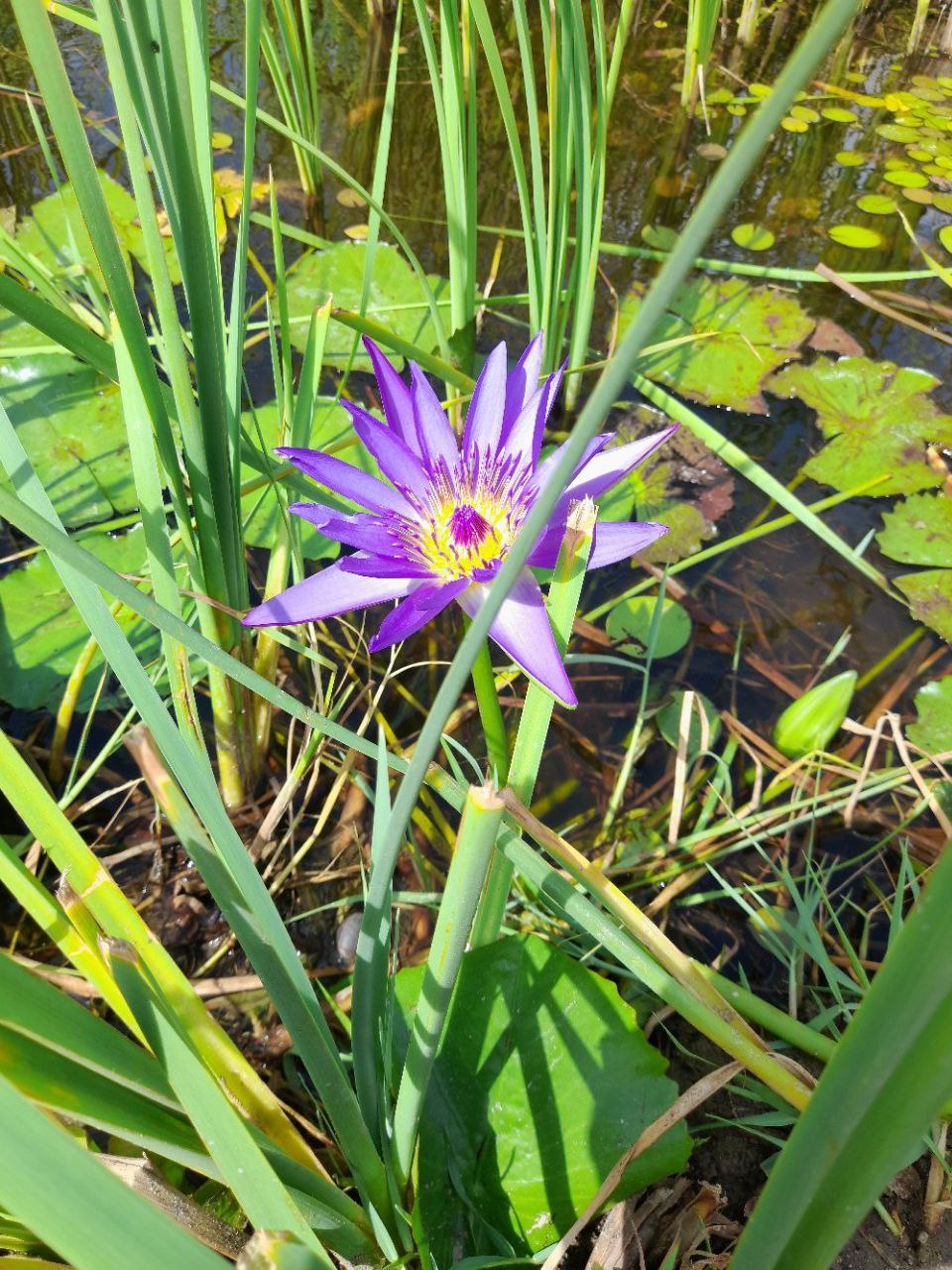 Somewhere in Kenya #4