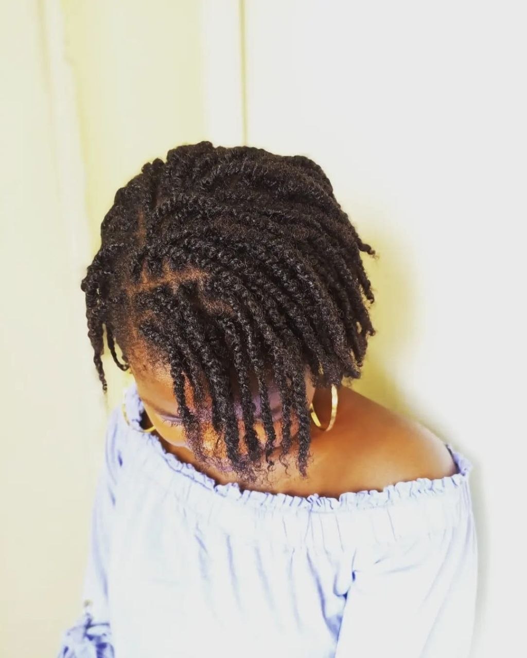 Mini twists natural hairstyle at Fabz Hair