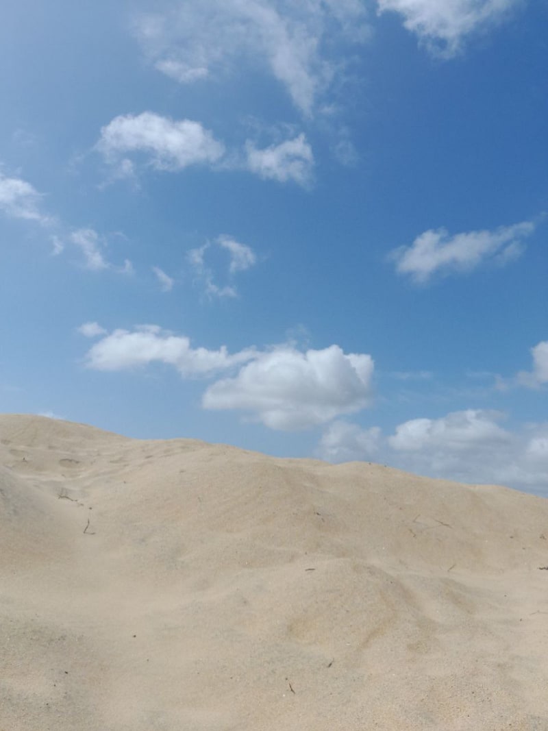 Somewhere in Kenya #5