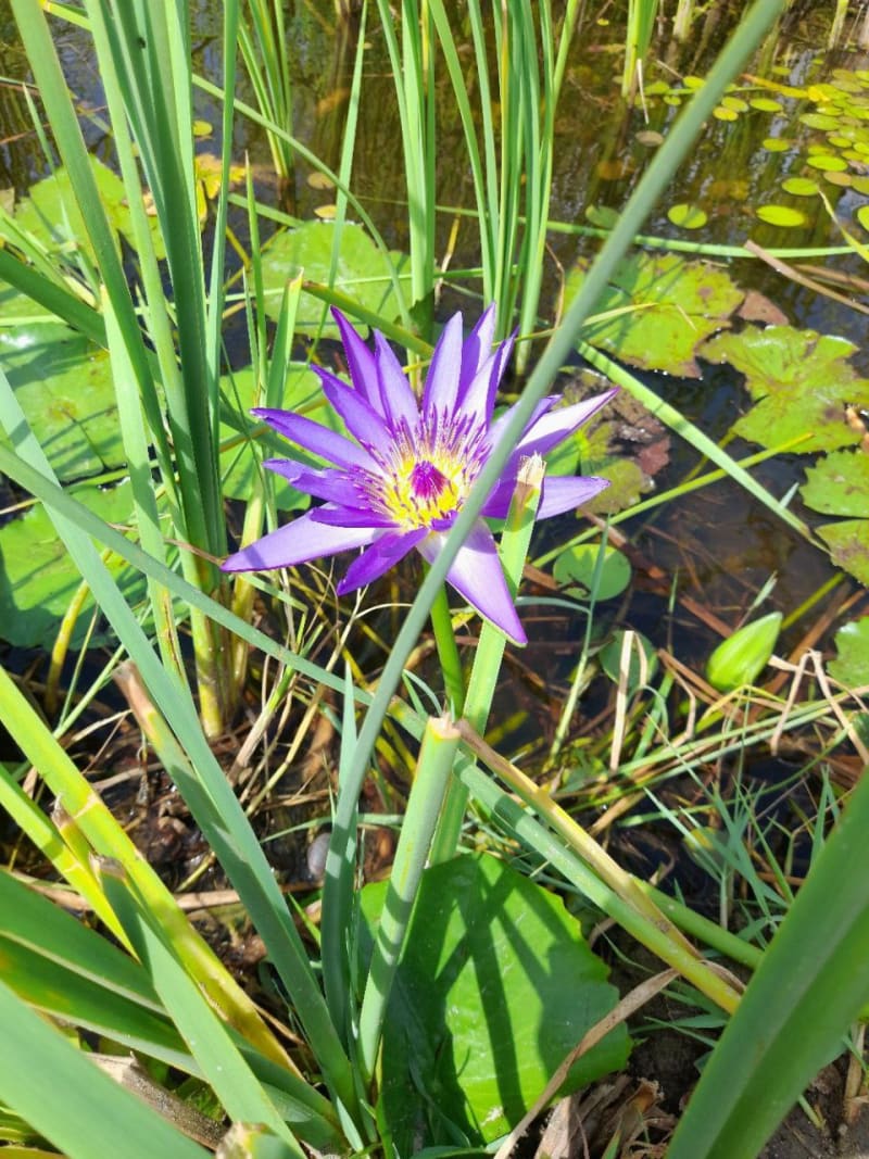 Somewhere in Kenya #4