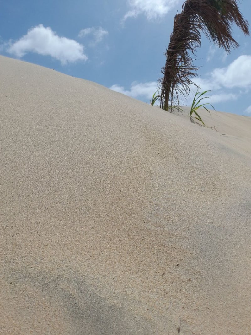 Somewhere in Kenya #6