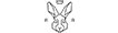 Rare Rabbit Coupons & Cashback Offers