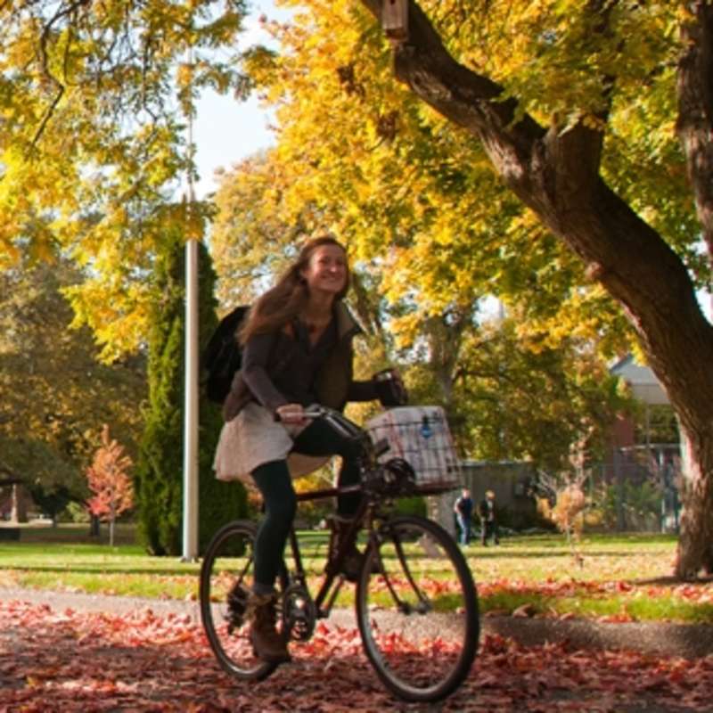 Student biking through campus, fall leaves