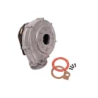 jw 100111184 image 1