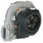 jw 100093635 image 1