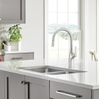 blanco 442678 image 1