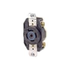leviton 2510 image 1