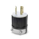 leviton 2641 image 1