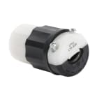 leviton 2613 image 1