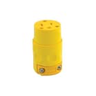 leviton 520cv image 1