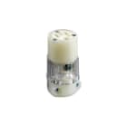 leviton 8219-ct image 1