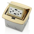 leviton pfus2-br image 1