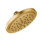 moen s176epbg image 1