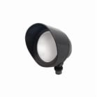 rcl bullet12a image 1