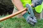 reed 03487 image 1