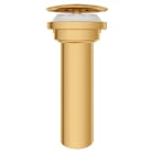 dxv d35155460.427 image 1