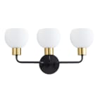 11273swbzsbr image 1