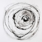 35333 image 1
