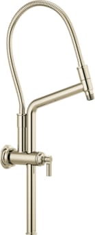 brizo 81376-pn image 1