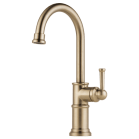 brizo 61025lf-gl image 2