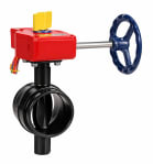 butterfly valve image 1