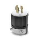 leviton 2431 image 1
