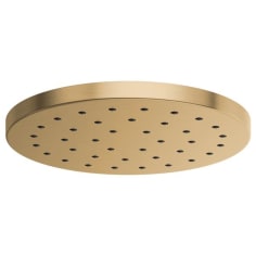 brizo 81987-gl-2.5 image 1