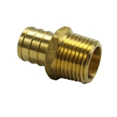 cbs 784036087 image 1