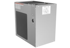 oasis 502991 image 1