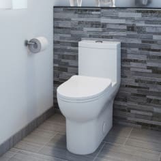 bain signature toilet-76 image 1