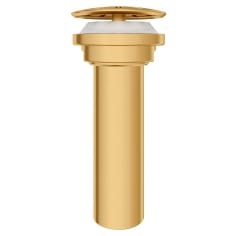 dxv d35155460.427 image 1