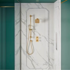 dxv d35170529.427 image 1