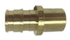 cbs 788037020 image 1