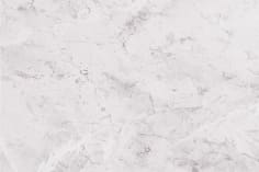 fleurco fb24838-2273 image 1