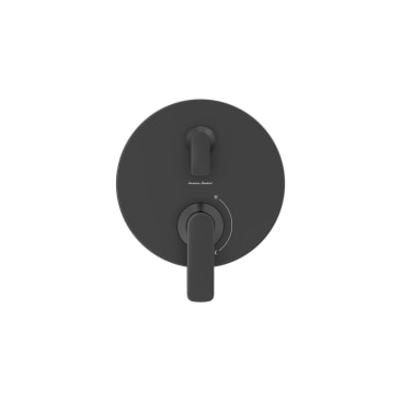 AM STD TU061740.243 Image 1