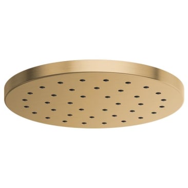 BRIZO 81987-GL-2.5 Image 1