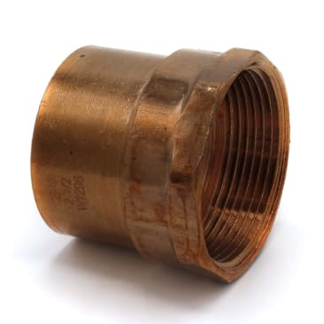 CBS 100635007 Image 1