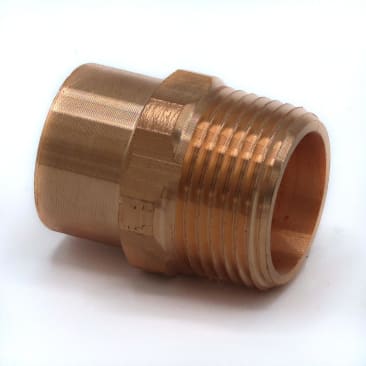 CBS 100636005 Image 1